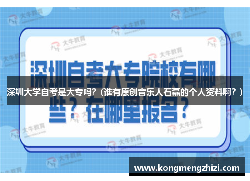 深圳大学自考是大专吗？(谁有原创音乐人石磊的个人资料啊？)